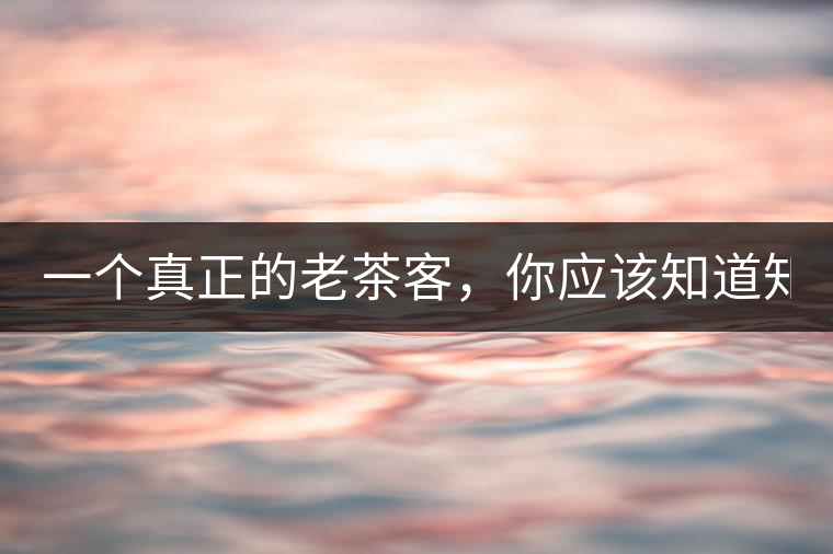 一個真正的老茶客，你應該知道知識點！