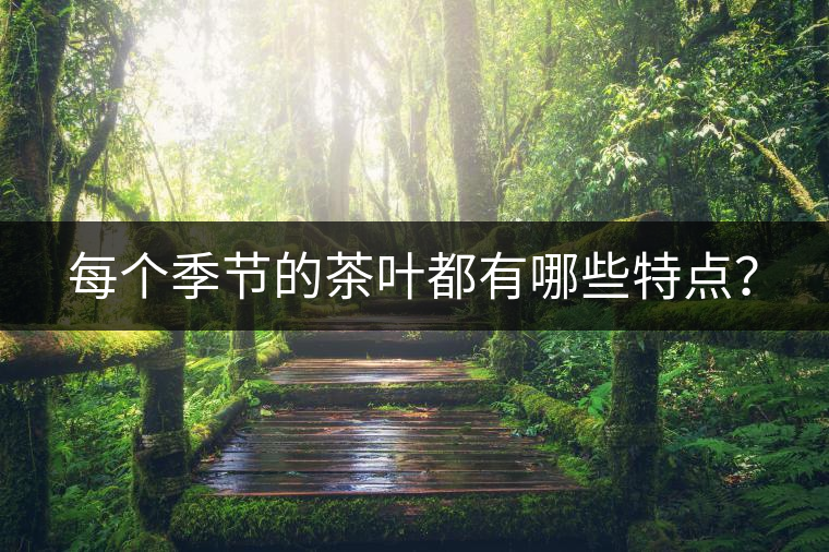 每個(gè)季節(jié)的茶葉都有哪些特點(diǎn)？