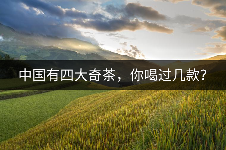 中國有四大奇茶，你喝過幾款？