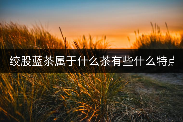 絞股藍(lán)茶屬于什么茶有些什么特點(diǎn)？