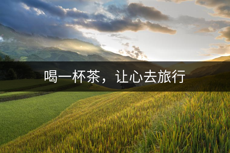 喝一杯茶，讓心去旅行