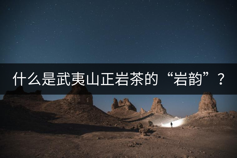 什么是武夷山正巖茶的“巖韻”？