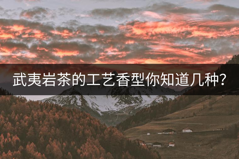 武夷巖茶的工藝香型你知道幾種？