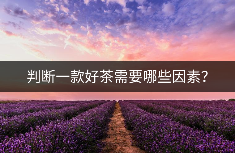 判斷一款好茶需要哪些因素？