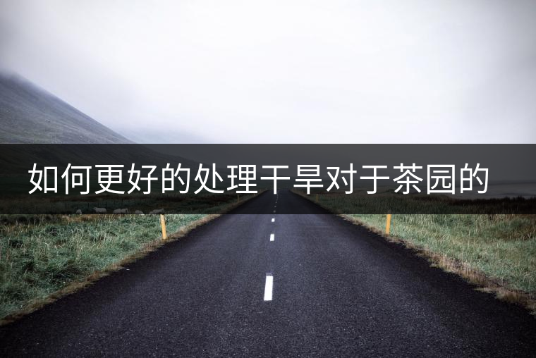 如何更好的處理干旱對(duì)于茶園的影響？