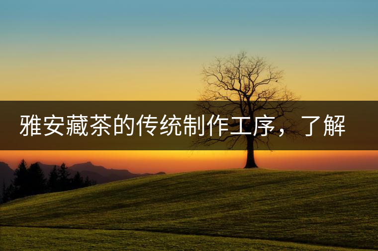 雅安藏茶的傳統(tǒng)制作工序，了解了傳統(tǒng)技藝才能更好的了解茶品！