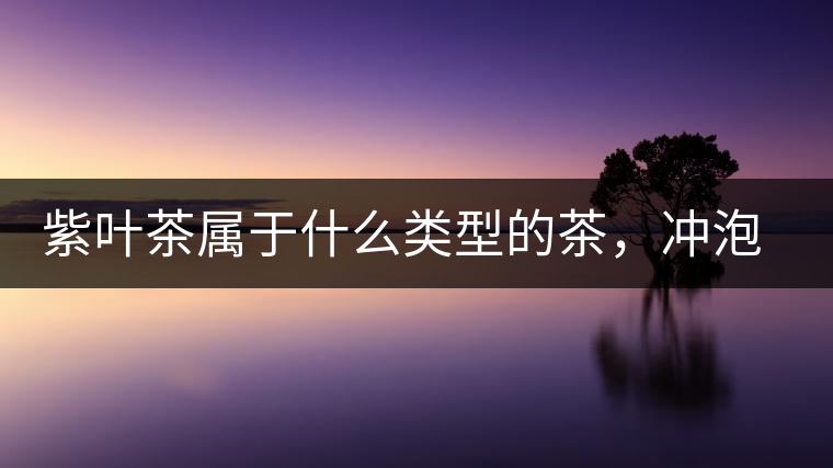 紫葉茶屬于什么類(lèi)型的茶，沖泡需要注意什么？