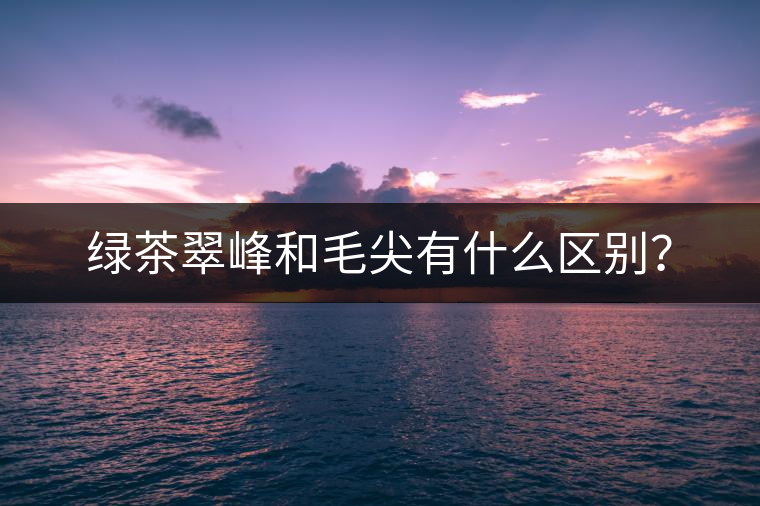 綠茶翠峰和毛尖有什么區(qū)別？