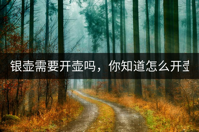 銀壺需要開壺嗎，你知道怎么開壺？