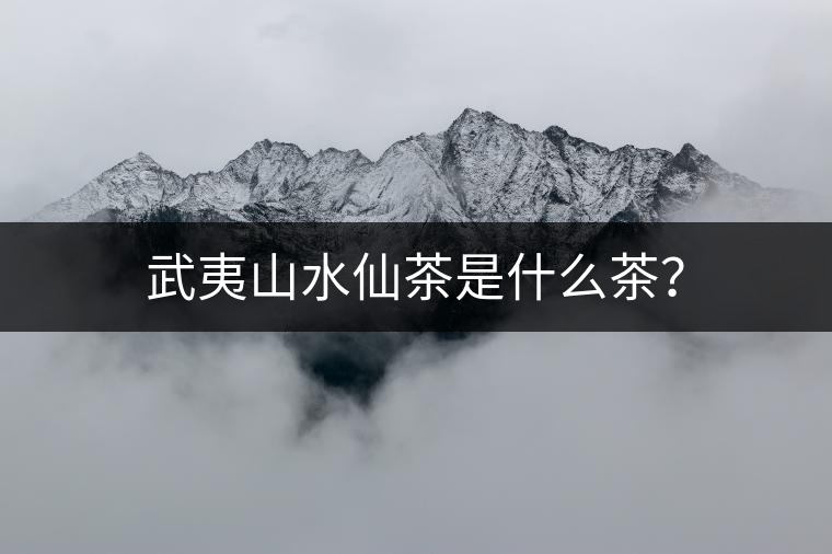 武夷山水仙茶是什么茶？