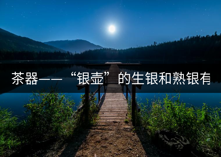 茶器——“銀壺”的生銀和熟銀有什么區(qū)別嗎？