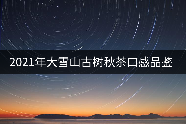 2021年大雪山古樹秋茶口感品鑒？