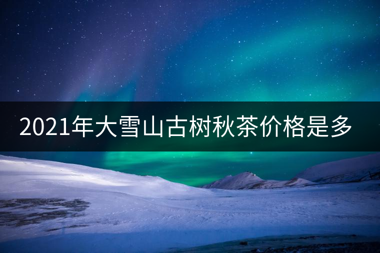 2021年大雪山古樹秋茶價格是多少？