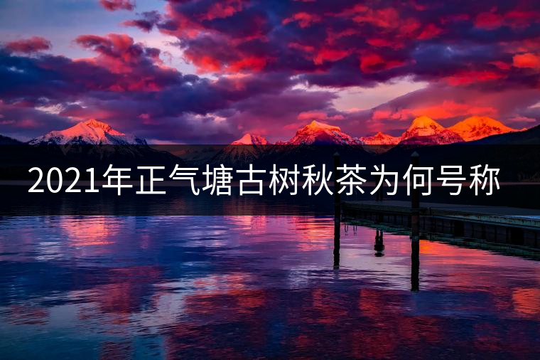 2021年正氣塘古樹秋茶為何號稱小冰島？