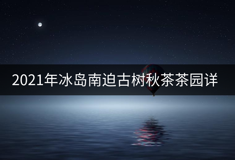 2021年冰島南迫古樹秋茶茶園詳解！