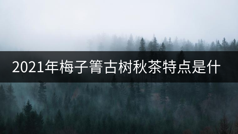2021年梅子箐古樹秋茶特點(diǎn)是什么？