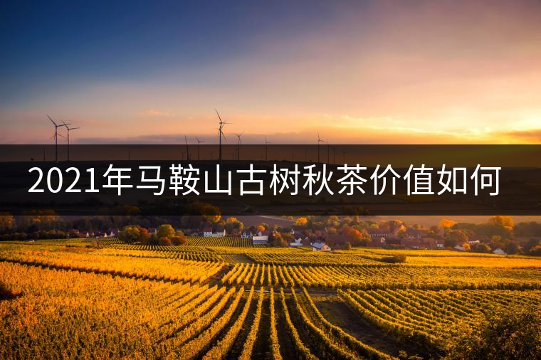 2021年馬鞍山古樹秋茶價值如何？
