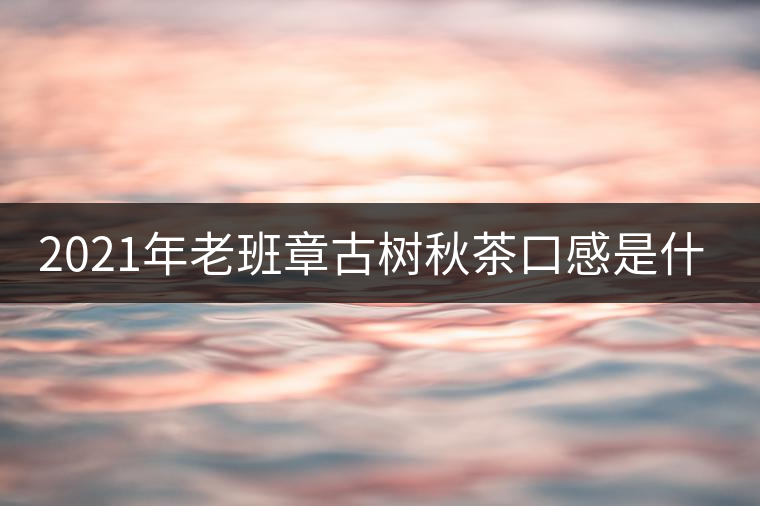 2021年老班章古樹秋茶口感是什么？
