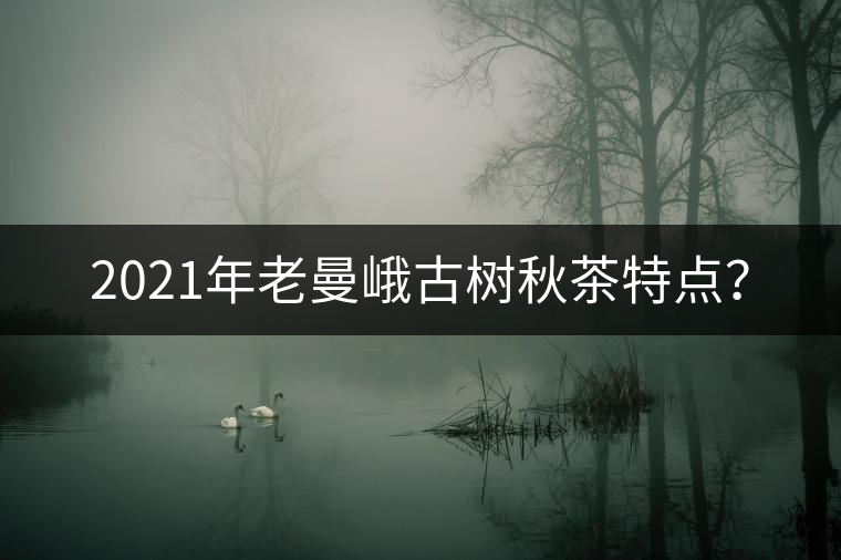 2021年老曼峨古樹秋茶特點？