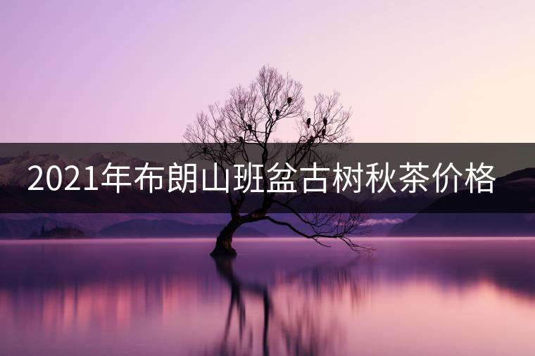 2021年布朗山班盆古樹秋茶價(jià)格？