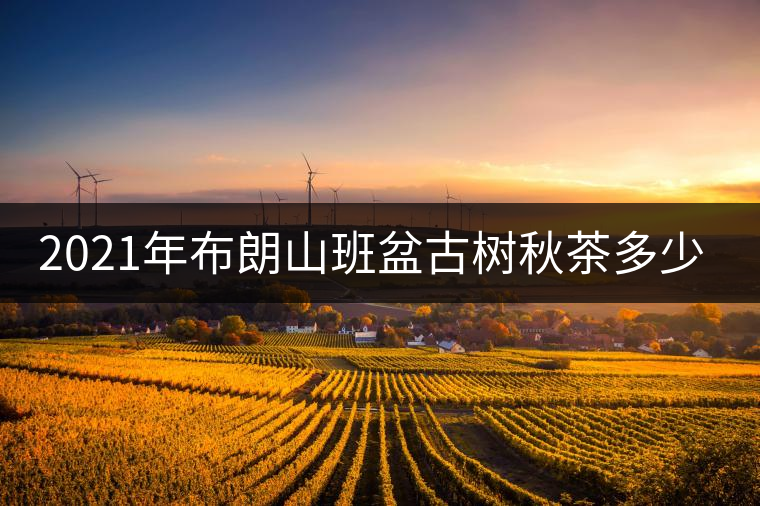 2021年布朗山班盆古樹秋茶多少錢一公斤？