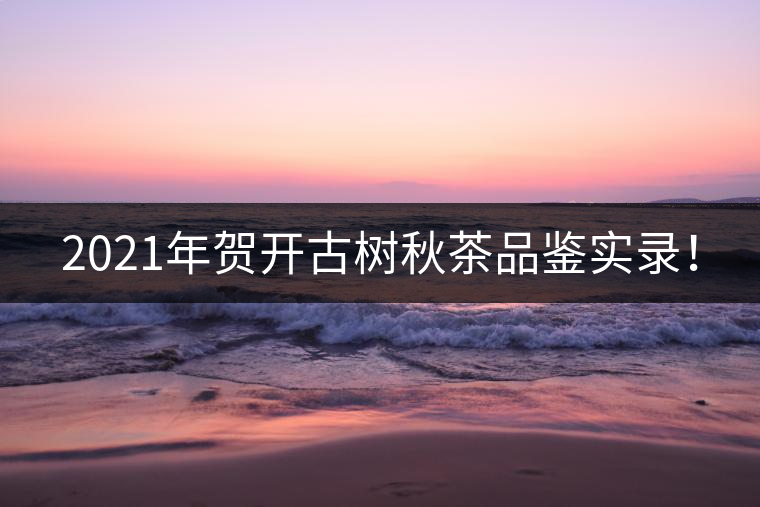 2021年賀開古樹秋茶品鑒實(shí)錄！