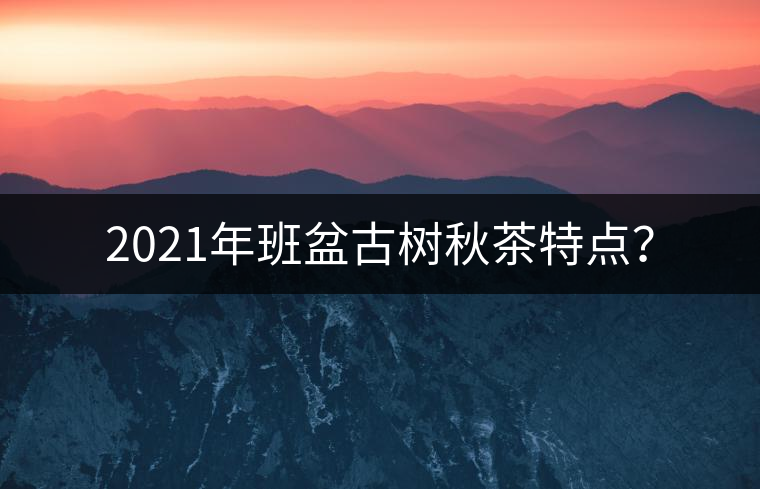 2021年班盆古樹秋茶特點(diǎn)？