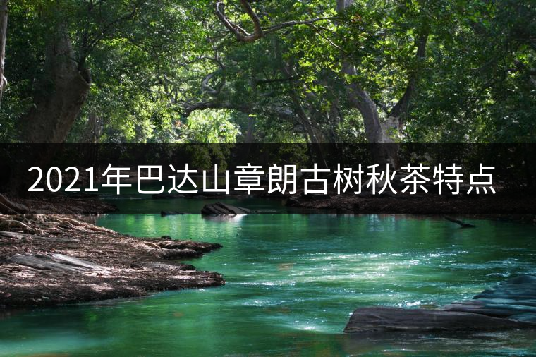 2021年巴達(dá)山章朗古樹秋茶特點(diǎn)？