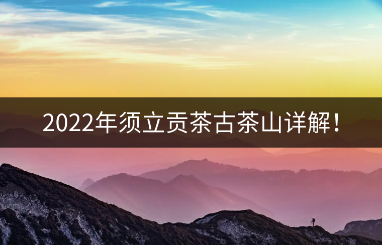 2022年須立貢茶古茶山詳解！
