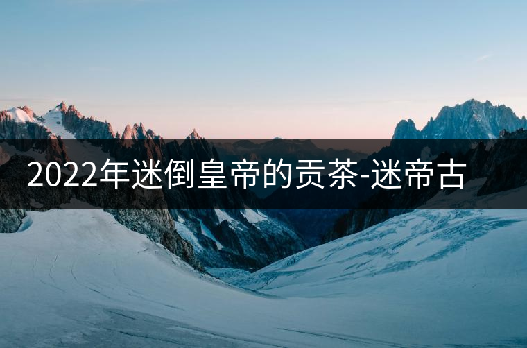 2022年迷倒皇帝的貢茶-迷帝古樹春茶特點？