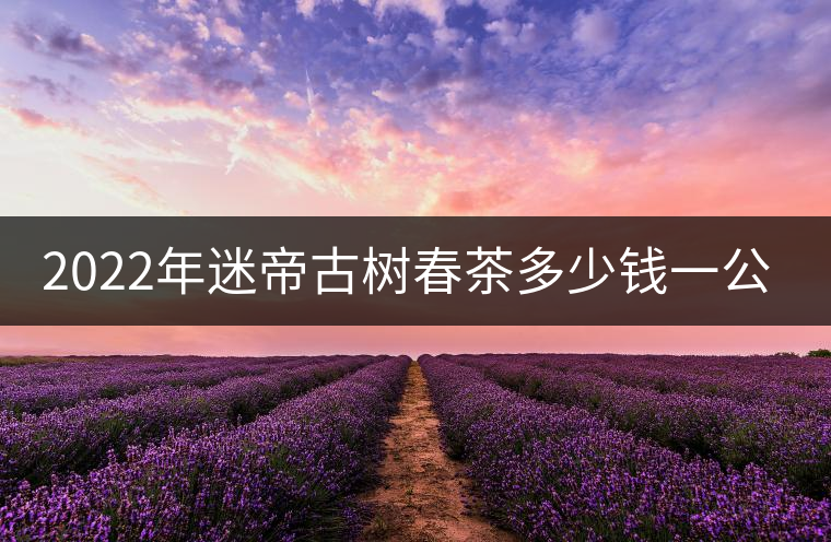 2022年迷帝古樹春茶多少錢一公斤？