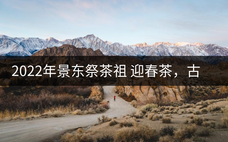 2022年景東祭茶祖 迎春茶，古樹春茶多少錢一公斤？