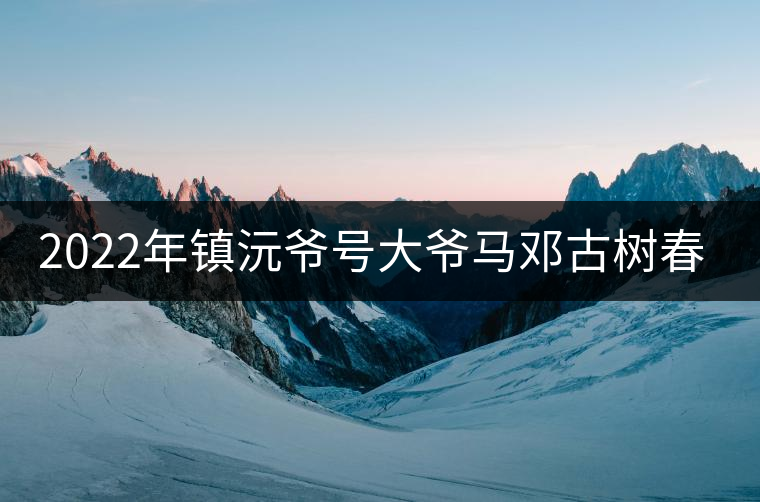 2022年鎮(zhèn)沅爺號(hào)大爺馬鄧古樹(shù)春茶特點(diǎn)？