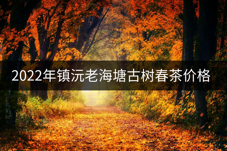 2022年鎮(zhèn)沅老海塘古樹春茶價(jià)格？