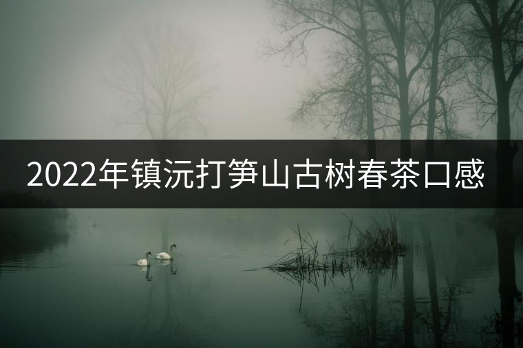 2022年鎮(zhèn)沅打筍山古樹春茶口感？