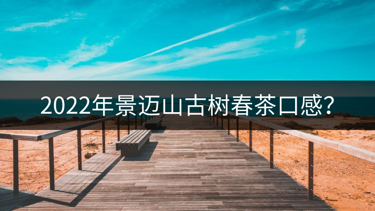 2022年景邁山古樹春茶口感？