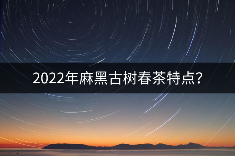 2022年麻黑古樹春茶特點？