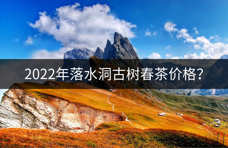 2022年落水洞古樹(shù)春茶價(jià)格？