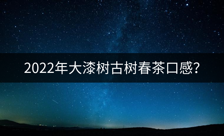 2022年大漆樹古樹春茶口感？