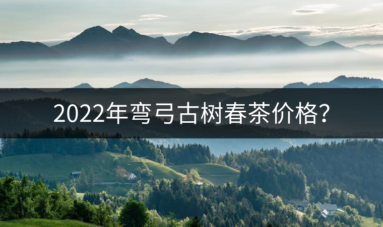 2022年彎弓古樹春茶價格？