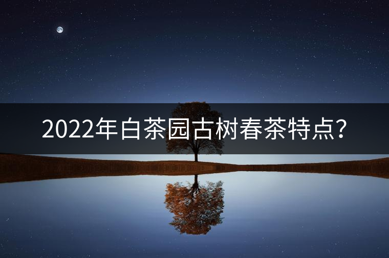 2022年白茶園古樹春茶特點？