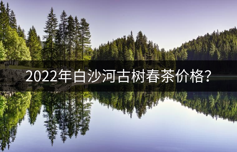 2022年白沙河古樹(shù)春茶價(jià)格？