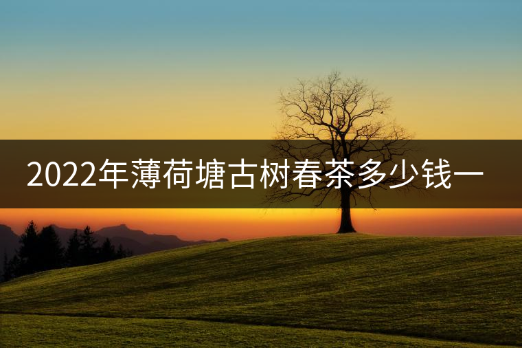 2022年薄荷塘古樹春茶多少錢一公斤？