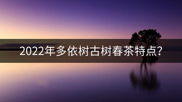 2022年多依樹古樹春茶特點？