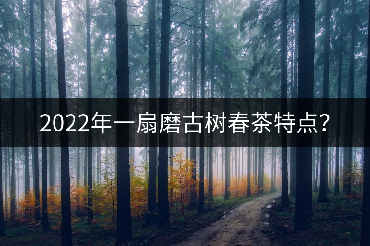 2022年一扇磨古樹春茶特點(diǎn)？