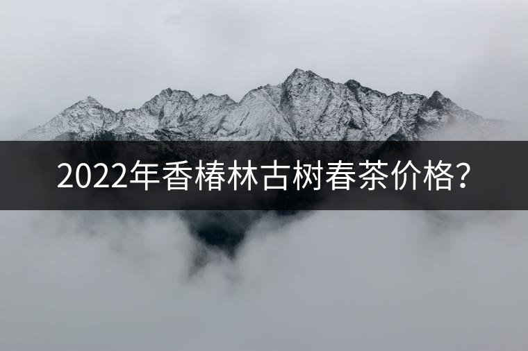 2022年香椿林古樹春茶價格？