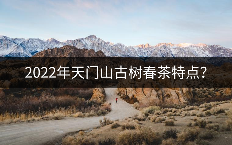 2022年天門山古樹春茶特點(diǎn)？