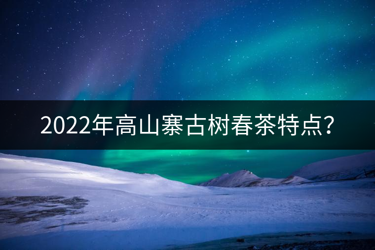 2022年高山寨古樹春茶特點(diǎn)？