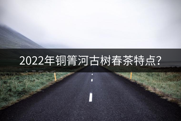2022年銅箐河古樹春茶特點(diǎn)？