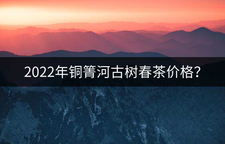 2022年銅箐河古樹春茶價格？